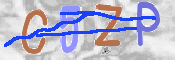 キャプチャ画像